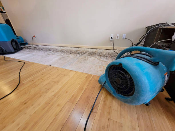 Professional Water Damage Repair technician working in North Reading, MA